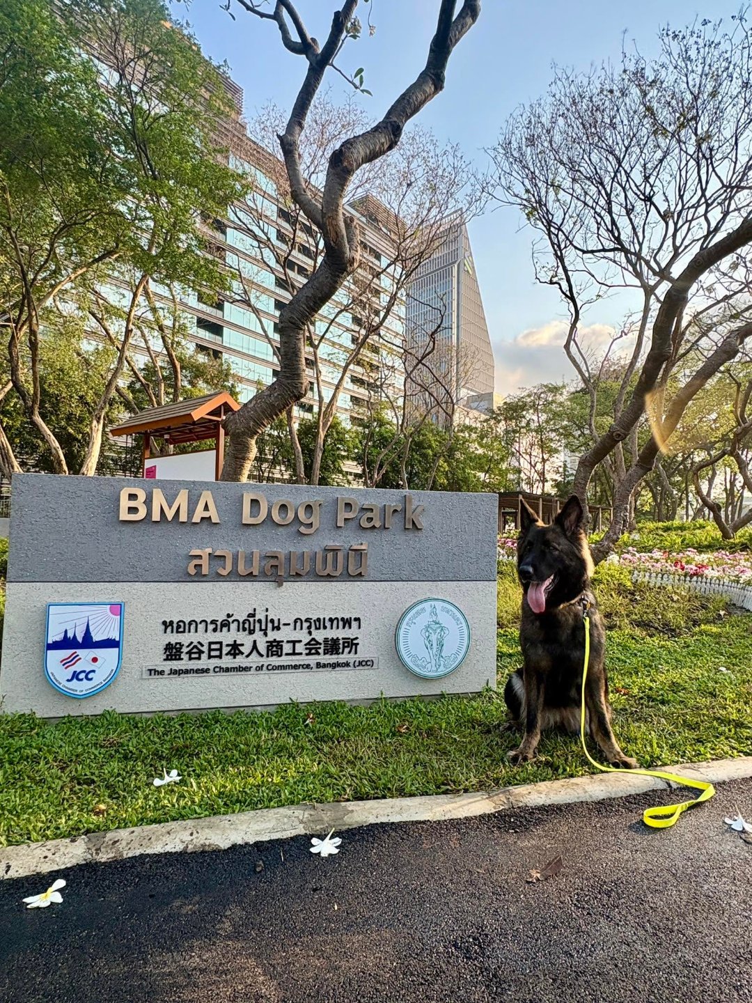 Lumpini Park – Lumphini Dog Park