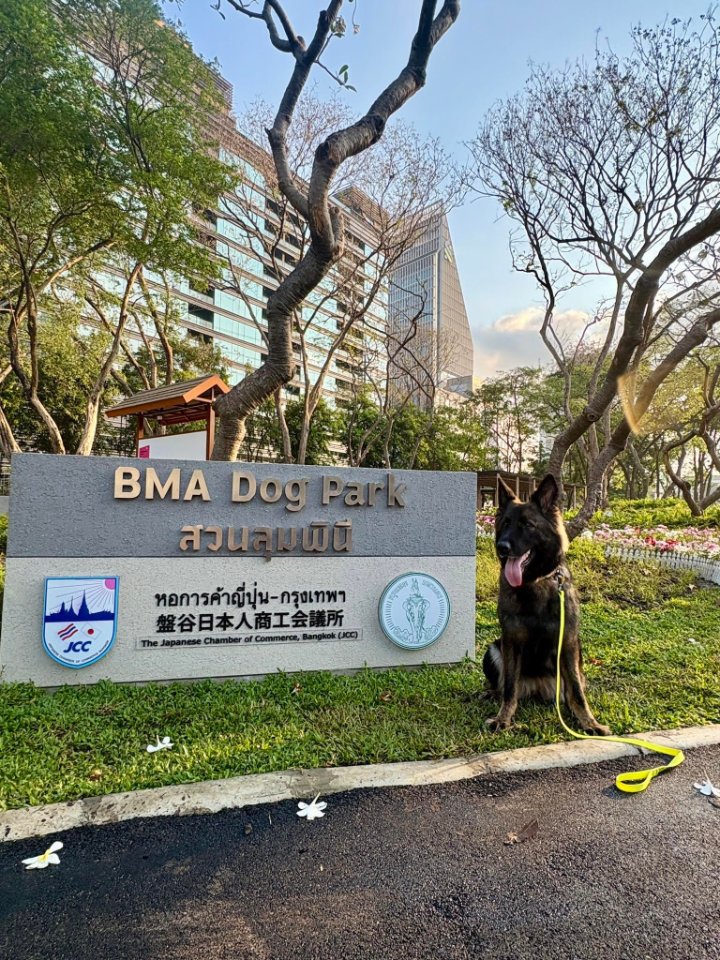 Lumpini Park – Lumphini Dog Park