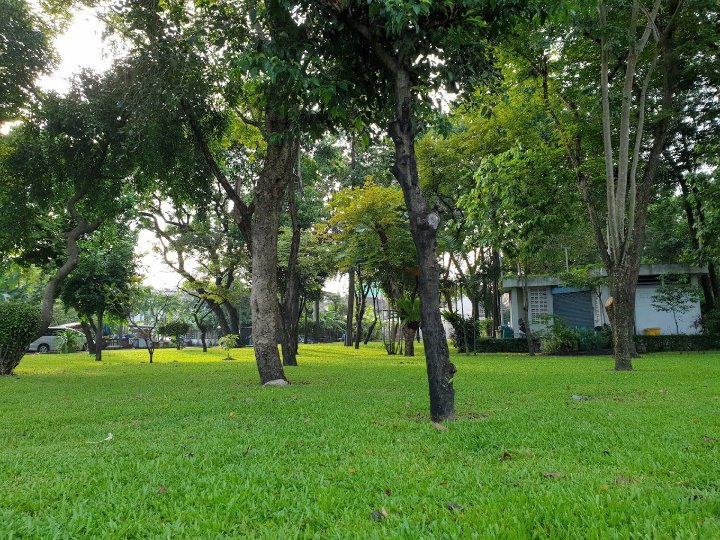 Prachaniwet Forest Park (Prachaniwet Village)